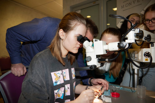 spsh8631-1-500x333.jpg spsh8631-1-500x333.jpg