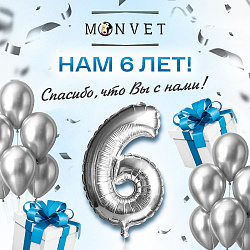 День Рождения MONVET