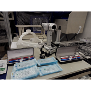 Vet.Camp 2020. Санкт-Петербург