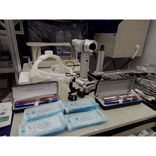 Vet.Camp 2020. Санкт-Петербург