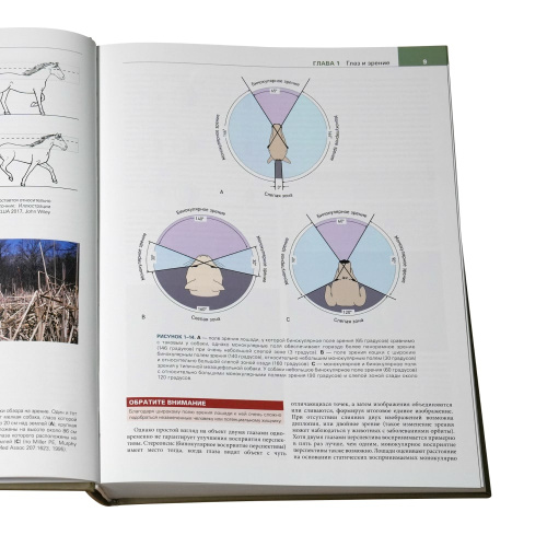 Основы ветеринарной офтальмологии Слэттера фото 3